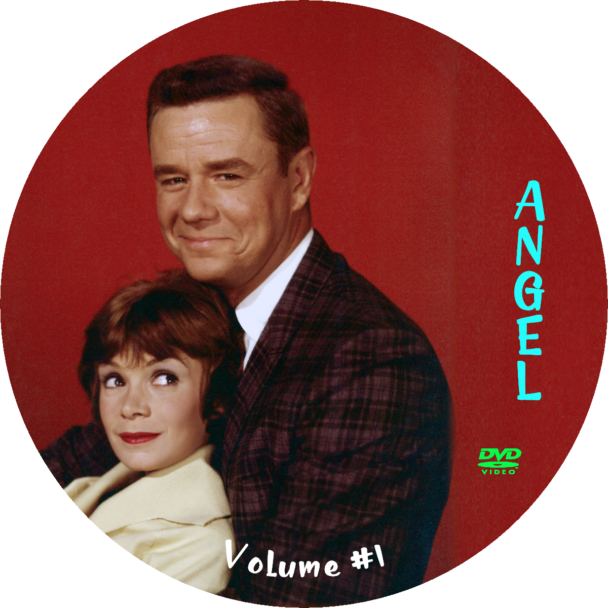 Rare 1960 Angel TV Comedy DVD Set with Annie Fargue Marshall Thompson