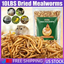 10LBS Dried Mealworms 100 Natural Non-GMO Dried High-Protein Fit Birds Chickens
