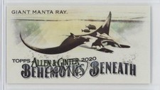 2020 Topps Allen & Ginter's Behemoths Beneath Minis Giant Manta Ray #MGB-6 1dl2