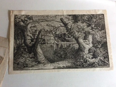 "Bohr-Baum vor eine wilde Katze ... ,Kupferstich  Joh.Elias Ridinger 1750 RNT - Bild 1 von 2