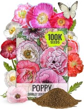 Seed Needs Shirley Mixed Poppy Seeds Large Pack (100,000 Seeds), Pink Shades