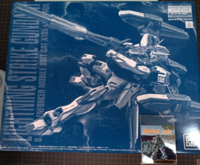 MG LIGHTNING STRIKE GUNDAM Ver.RM 1/100 scale Plastic Models P-Bandai Limited