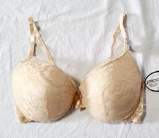 Inteco Intimates Lace Push-up Bra Beige Size 36C T47-1244