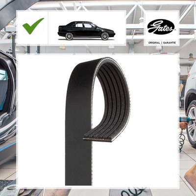 Keilrippenriemen Gates 6PK975 für Alfa Romeo
