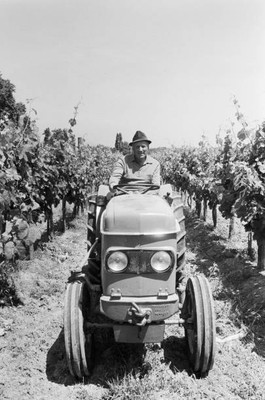 Henri Bousseau winemaker former classmate of Francois Mitterrand  1980s Photo