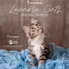 Rachael Hale + Nhs - Lovable Cats 2026 Wall Calendar Wall by Turner Licensing