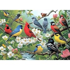 MAXBYE Birds Diamond Art Kits for Adults, 5D Diamond Painting Kits for Adults...