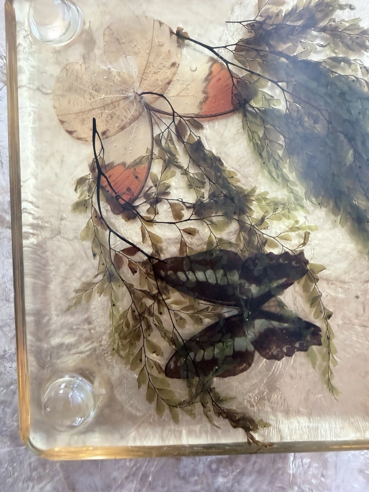 Vintage Lucite Resin Butterfly Fern Specimen Trivet Display 8in MCM Decor - product detail image 5