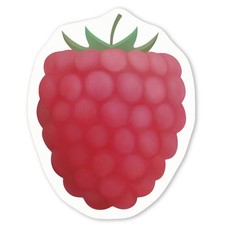 Aufkleber Sticker "Himbeere" (DW024536)