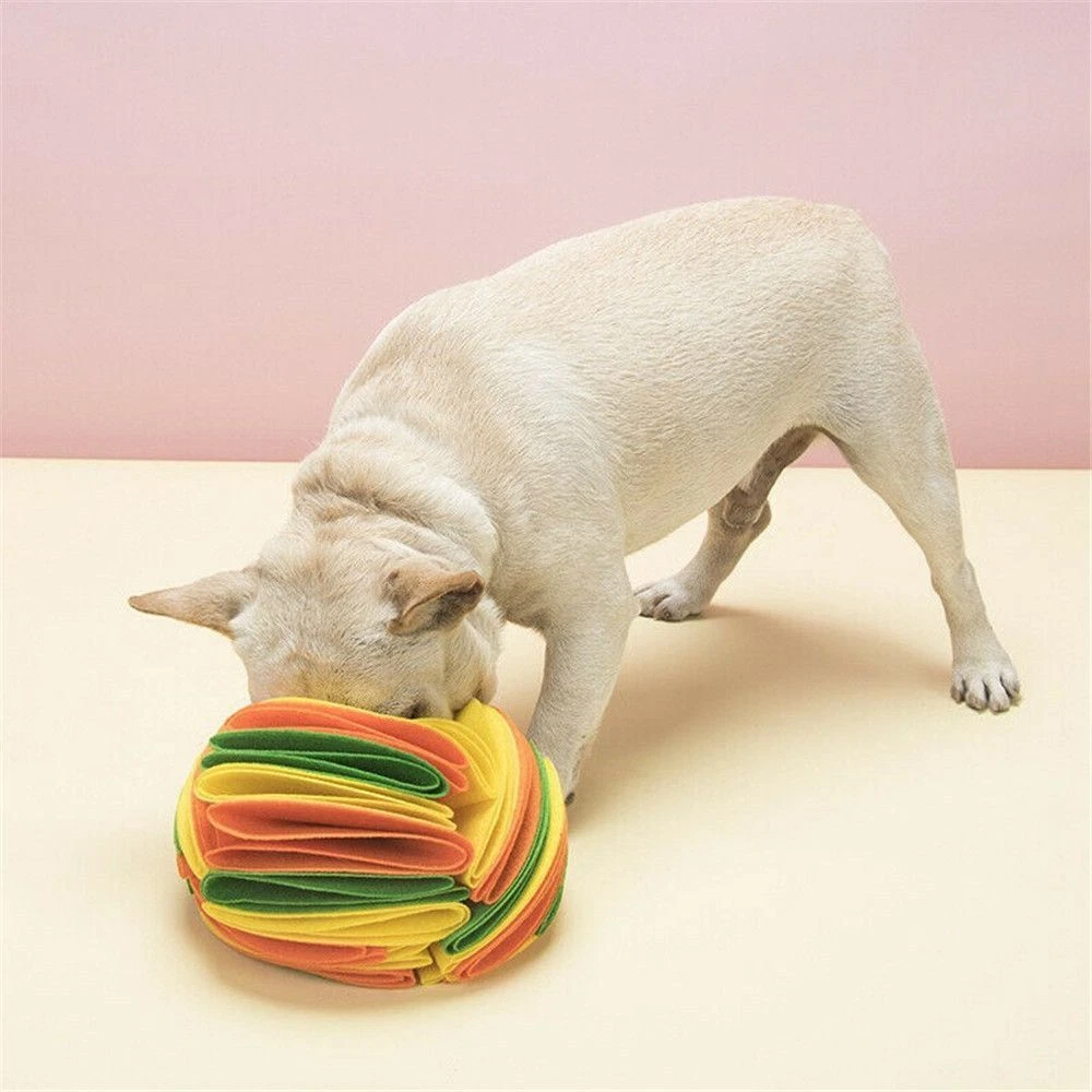 Rainbow Foldable Increase IQ Cat Training Snuffle Ball Pet Toys Dog Puzzle  Toys | eBay