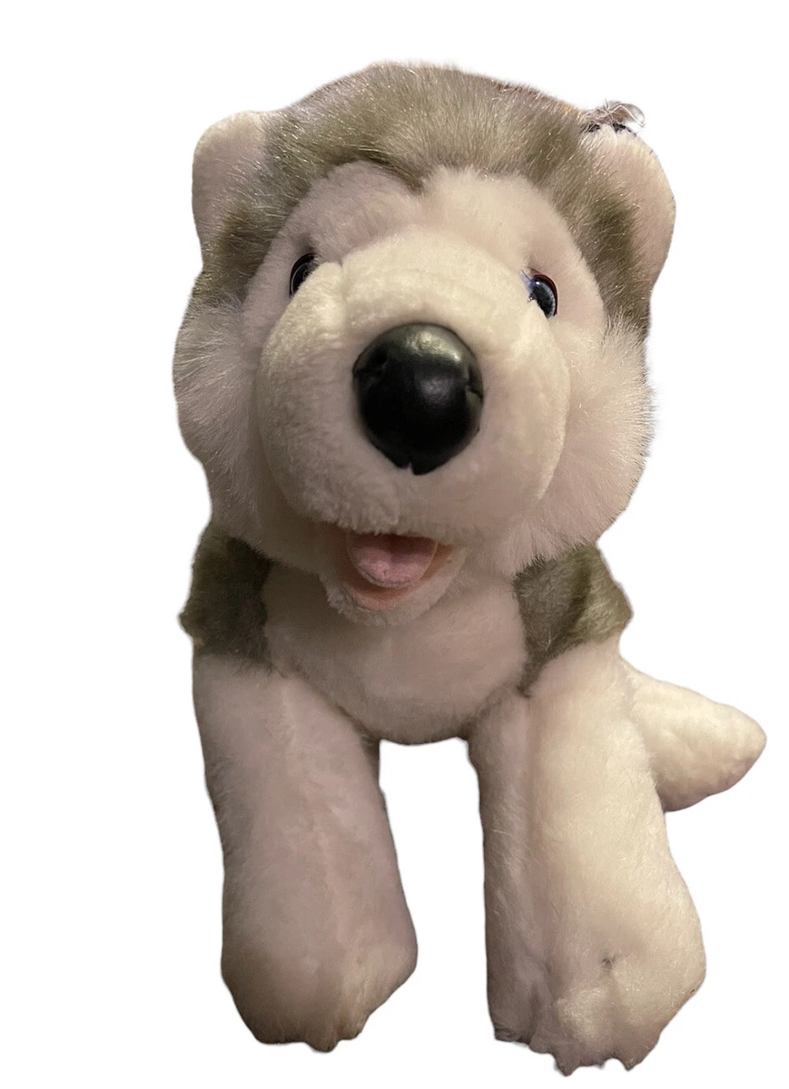 Husky teddy sales bear dog