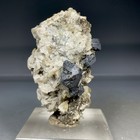 SS Rocks - Galena, Calcite, Dolo (Brewster Mine, Baxter Springs, Missouri) 82g — photo 4