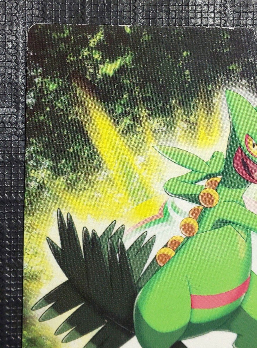 Sceptile Pokemon Carddass Zukan Card 084 JUKAIN Nintendo
