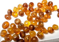 ROUND POLISHED BALTIC HOLED REAL AMBER LOOSE 30 Beads 6 - 7  mm  DIY 