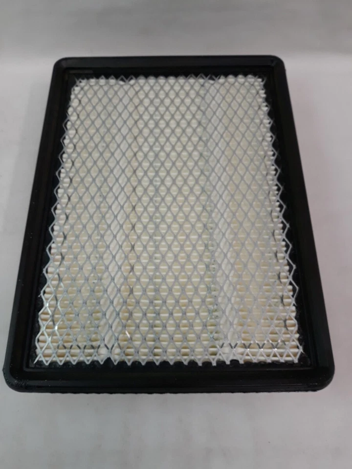 Filtro de aire Service Champ AF4479/WAF1096/CA6479/ CA8754 NUEVO Foto 2 de 4