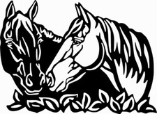 Horse Head Wild Horses Wall Car Truck Window Vinyl Sticker Decal
