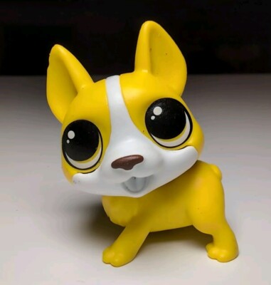 Pet Rescue Zuru 5 Surprise Dog EUC