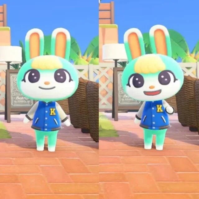 SASHA Amiibo Animal Crossing Plain Sticker UK