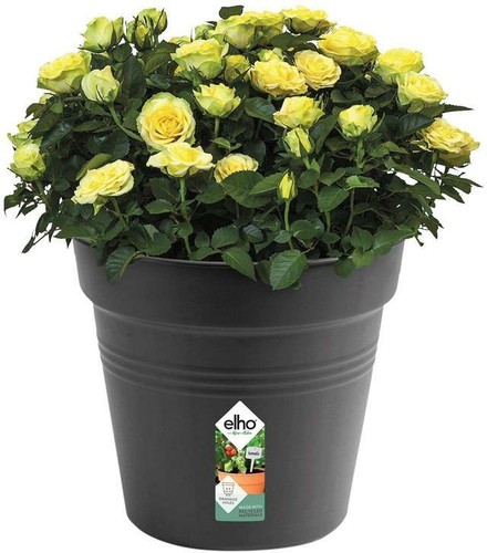 Elho Green Basics Growpot 40 cm Living Black Indoor & Outdoor Plastic Round - Picture 2 of 6