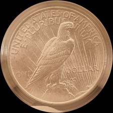 1923 AMERICAN PEACE DOLLAR AMAZONG COIN in a plastic container