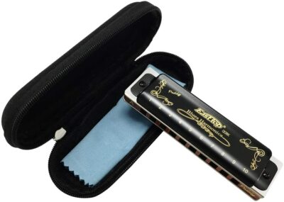 EASTTOP Harmonica 10Holes Professional Diatonic Blues Harmonica Key of Paddy New