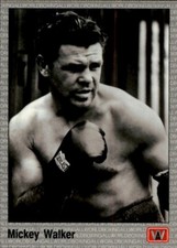1991 AW Sports ALL WORLD BOXING PREMIER EDITION * Your Choice * You Pick *