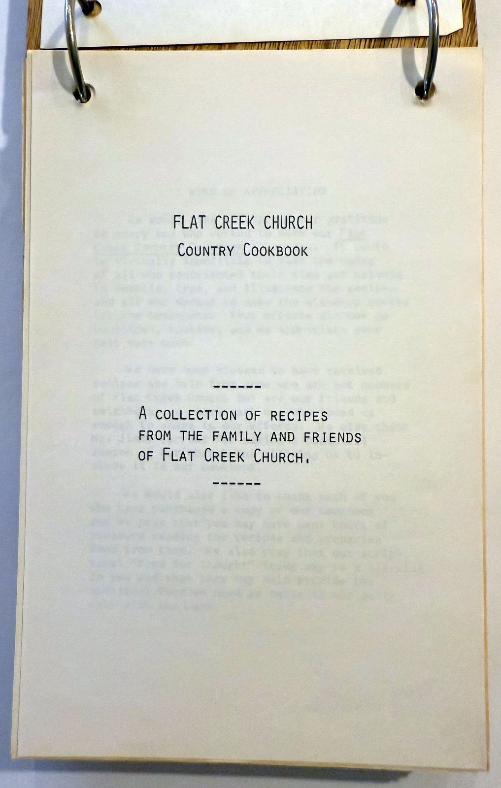 Flat Creek Baptist Church Vintage Handmade Country Community Cookbook Georgia