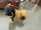 Westland Gifts Pugnacious Pocahontas Pug — Rare Retired