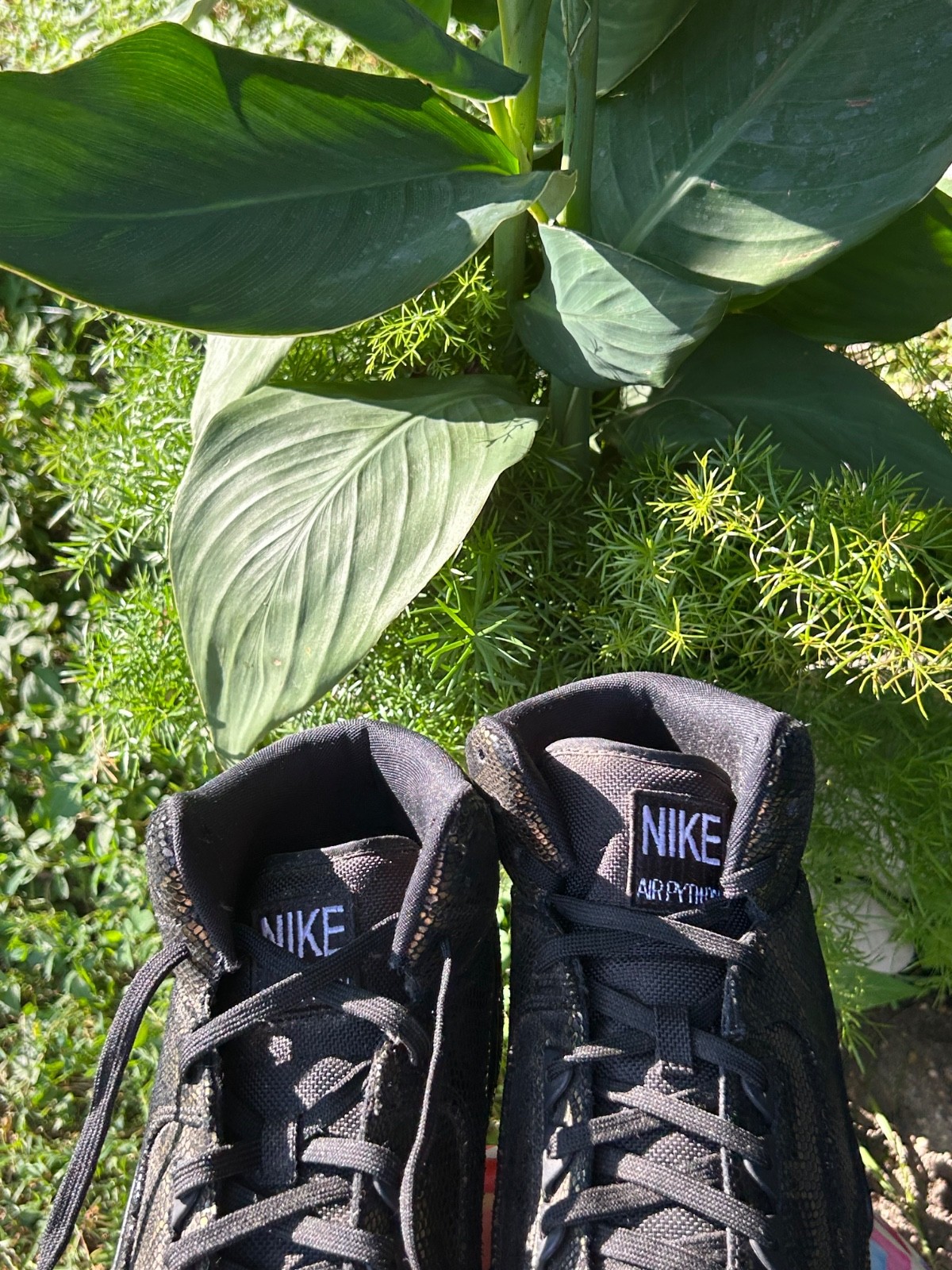 Size 13 - Nike Air Python Premium Black - image 5