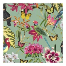 Graham & Brown Paradiso Multi Removable Wallpaper, Green