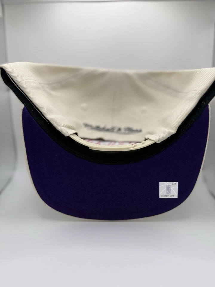 NUEVO CON ETIQUETAS Toronto Raptors Mitchell & Ness Blanco Blanco Púrpura Tapa Snapback Sombrero Foto 3 de 3