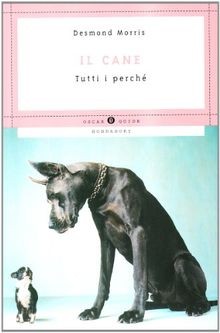 Il cane. Tutti i perché von Desmond Morris | Buch | Zustand sehr gut