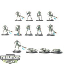 Necrons - 10 Guerrieri Necron - dipinto