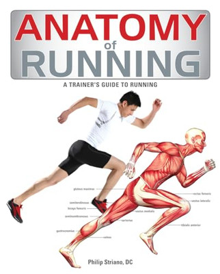Anatomy of Running - Paperback - VERY GOOD