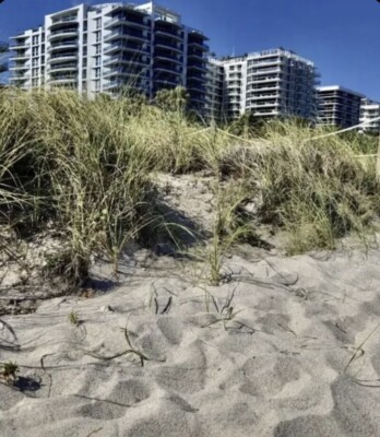 Tom Brady Retirement Sand W/ Special Addition Card