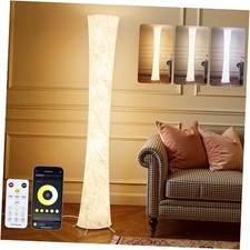 LED Floor Lamp for Living Room, 61'' Modern Floor Lamp with 3 Color Round Lamp