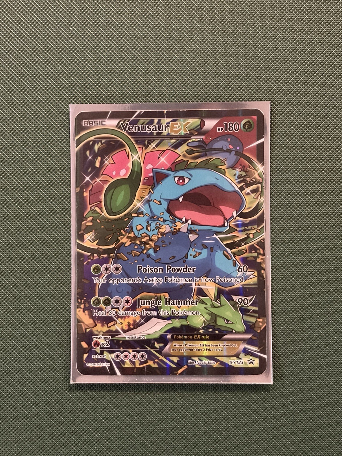 Pokemon Venusaur EX XY123 Black Star Promo Generations Red & Blue Collection DMG