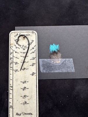 COTINGA CHATTERER CAYANA FEATHERS SALMON FLY TYING | eBay