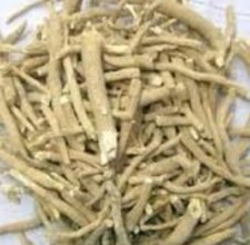 Ashwaganda Root - Ashwagandha - Withania somnifera-Premium Quality 100 gm