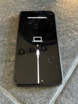 Apple iPhone XS Max 256GB Turning on Phone for Parts Only