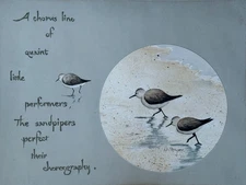 OLD VINTAGE D. MORGAN SANDPIPER BIRD BIRDS PRINT LITHOGRAPH COLOR ETCHING PLATE