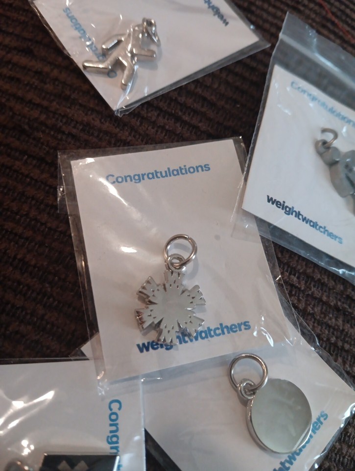225 Weight Watchers Charms_NEW You Get 225 Random New In Bag Charms All