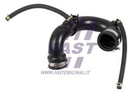 FT61839 Fast Ladeluftschlauch FüR CitroËN,Dacia,Peugeot,Renault