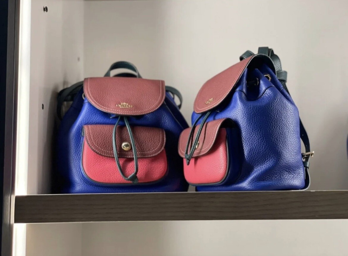 NWT Coach Pennie Backpack 22 In Colorblock-Sport Blue Multi 