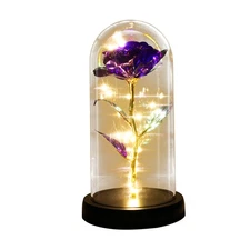Crystal Galaxy rose in the glass dome 15 led lights gift for girlfriend mom wife