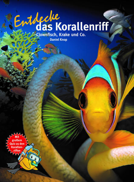Thumbnail - Entdecke Das Korallenriff | Daniel Knop | 2021 | Deutsch