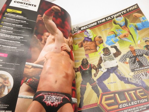 WWE WWF Magazine July 2012 John Cena Brock Lesner 2 Posters Eve CM Punk - Picture 3 of 8