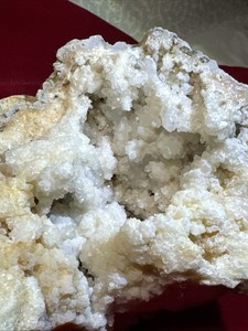 Geodized Crinoid Fossil From Indiana USA