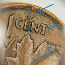  on The Hot Collector