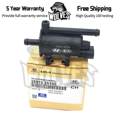 28910-25100 Purge Control Valve for Hyundai Sonata Kia Optima Sportage 2.0L 2.4L